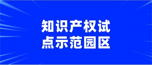 2020年上海市知識(shí)產(chǎn)權(quán)試點(diǎn)示范園區(qū)知識(shí)產(chǎn)權(quán)服務(wù)申報(bào)通知